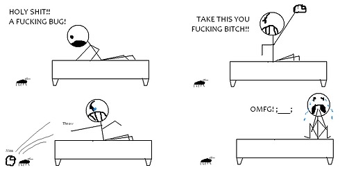 A bug A bug