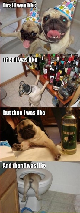 First I was like, then I was like