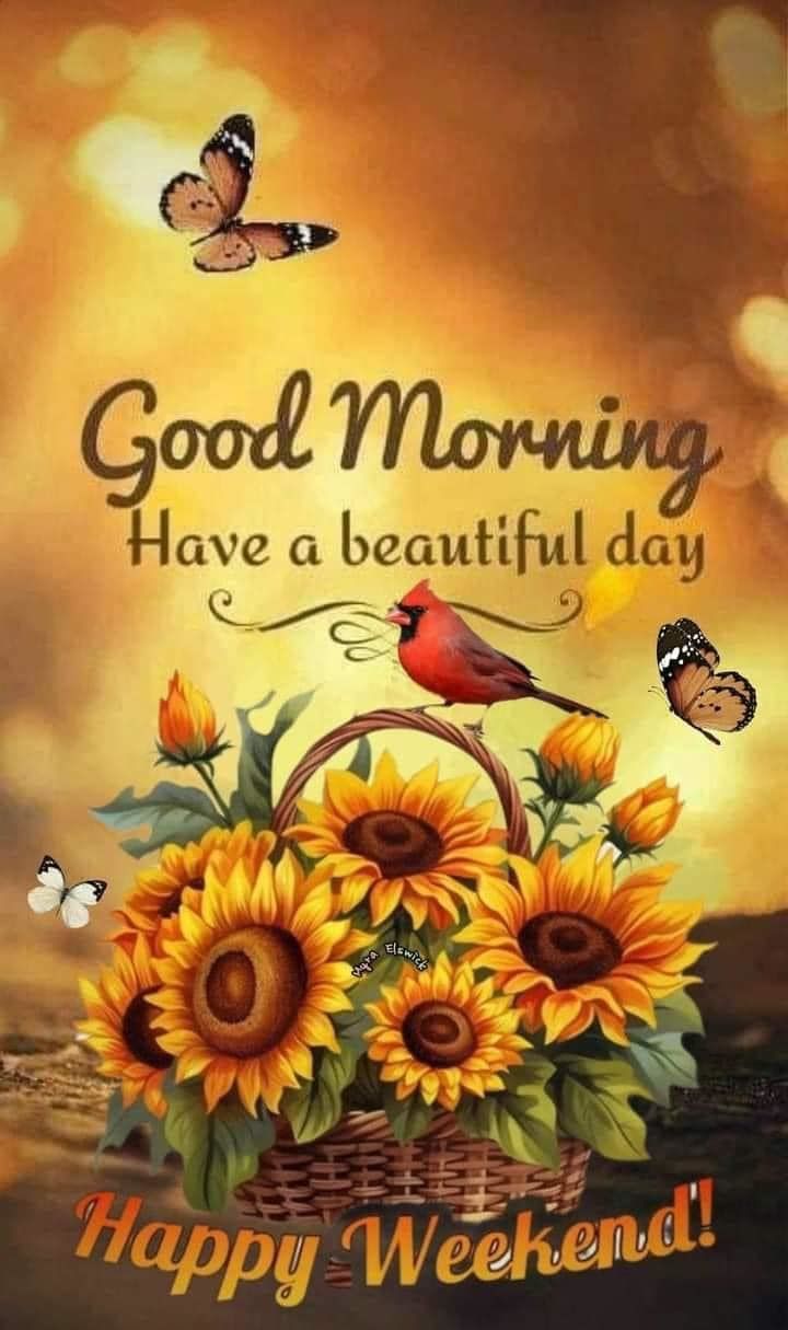 Have A Beautiful Day, Happy Weekend And Good Morning Pictures, Photos, and  Images for Facebook, Tumblr, Pinterest, and Twitter, image size:720x1215