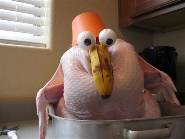 Shocked turkey