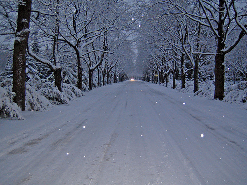 Snowy streets