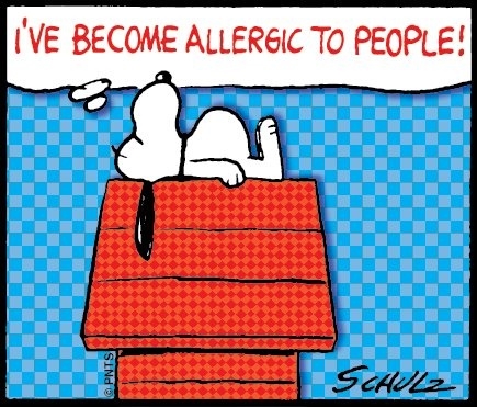 allergic to people allergic to people