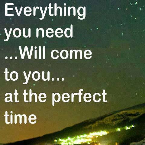 everything you need everything you need