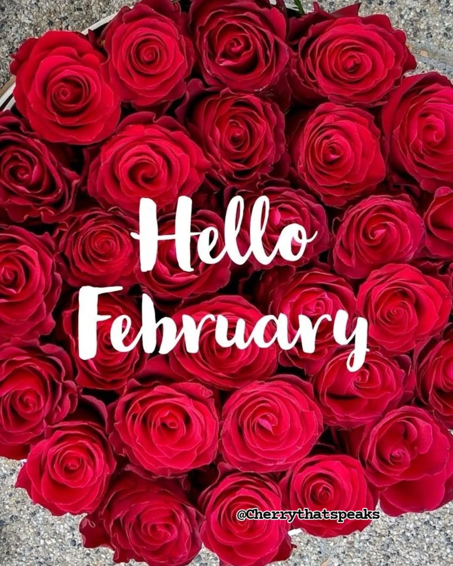 Red Rose Hello February Quote Pictures, Photos, and Images for Facebook ...