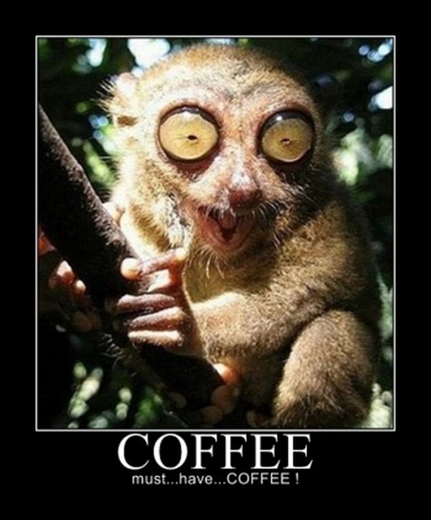 Must Have Coffee