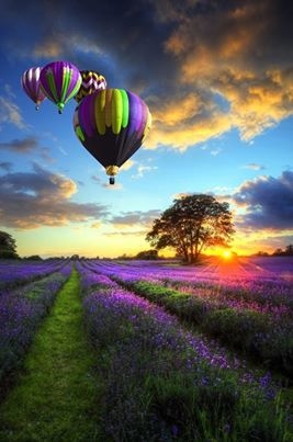 Up, Up & Awaaay!!
