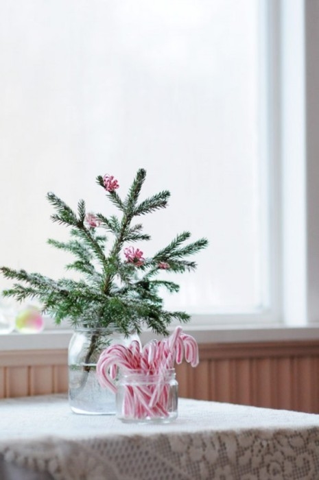 Candy cane and pine tree Candy cane and pine tree