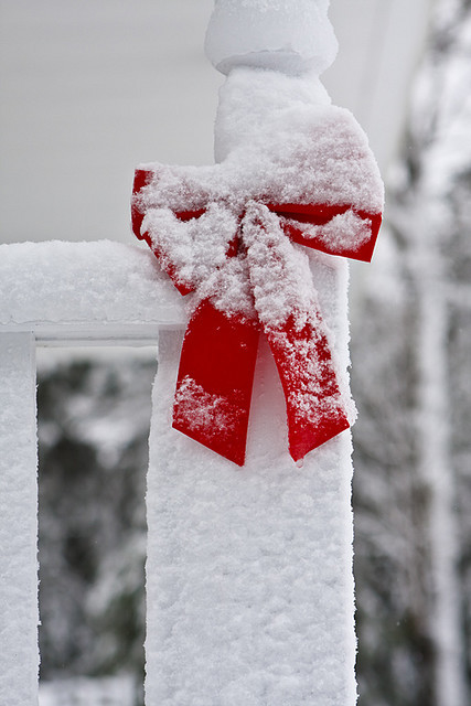 Fence bow ribbon