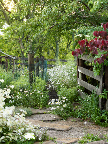 Limestone path