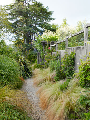 Backyard walkway Backyard walkway