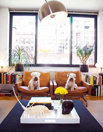 A simple living room