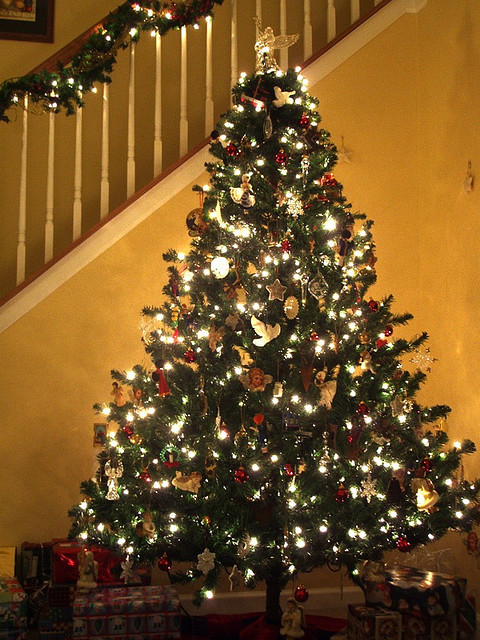 Christmas Tree Christmas Tree