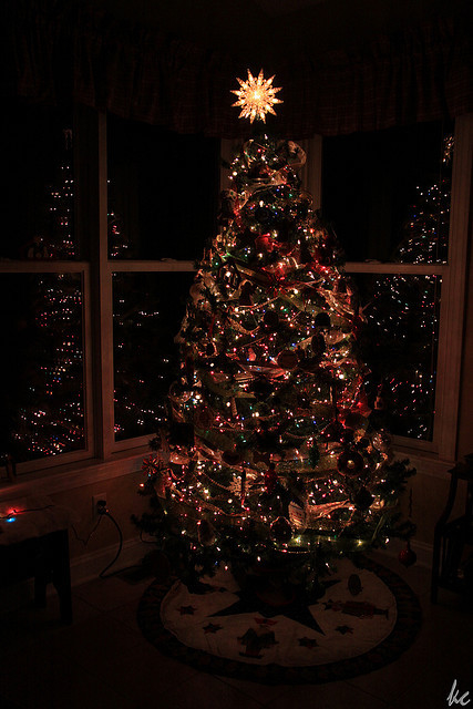 Christmas tree in the dark