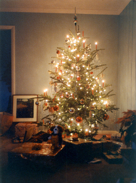 Christmas tree decoration