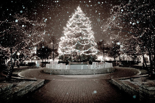 Christmas in the winter Christmas in the winter
