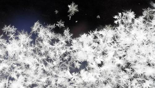 Winter snow flakes Winter snow flakes