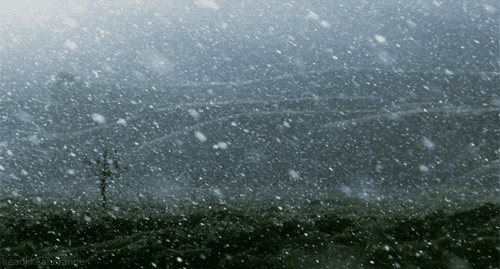 Snow fall