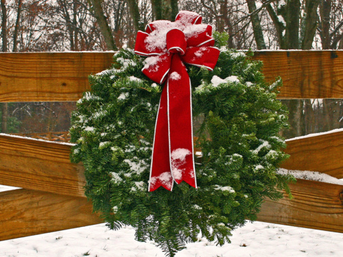 Winter wreath Winter wreath