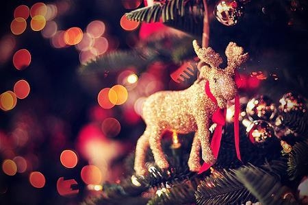 Reindeer Ornament