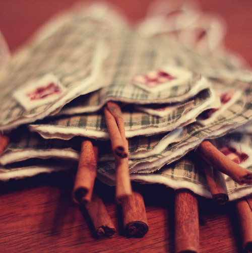 Cinnamon sticks Cinnamon sticks