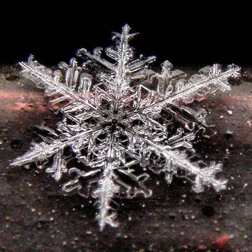 Snowflake