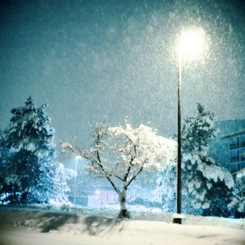 Snow 