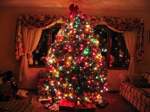 Colorful christmas tree Colorful christmas tree