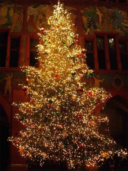 Christmas Tree