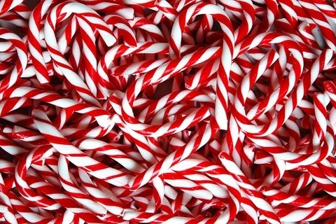 Candy Canes Candy Canes
