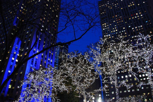 Outdoor tree lights Outdoor tree lights