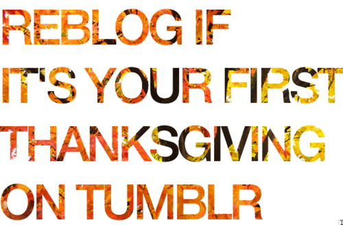 Reblog if its your first thanksgiving on tumblr