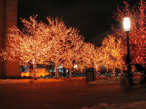 Tree lights
