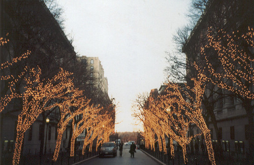 Christmas lights