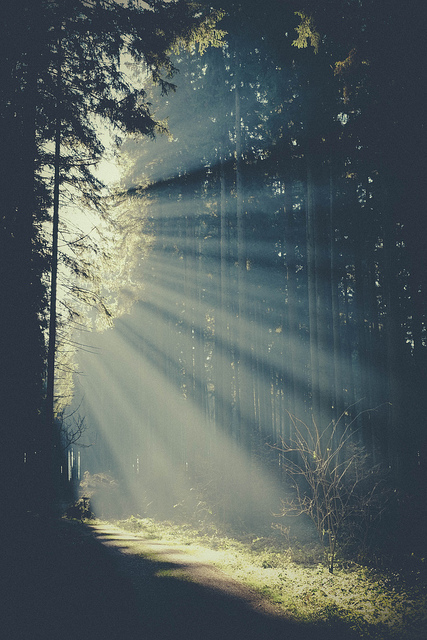 A solitude reminder A solitude reminder