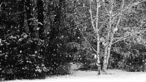 Snow falling Snow falling