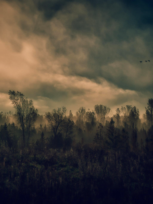 Low grazing fog