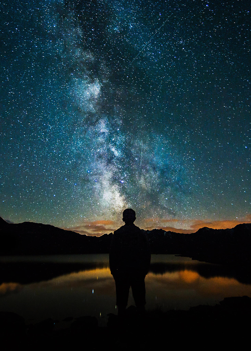Star gazer Star gazer