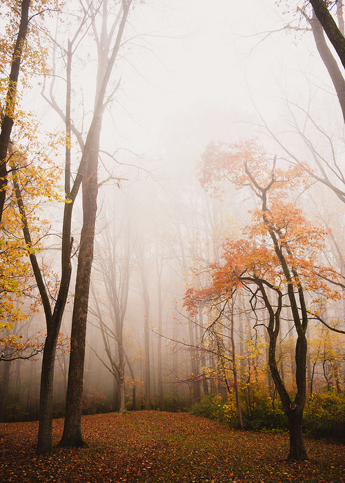 November morning