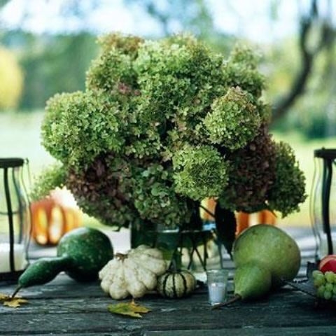 Hydrangea Thanksgiving Centerpiece Hydrangea Thanksgiving Centerpiece