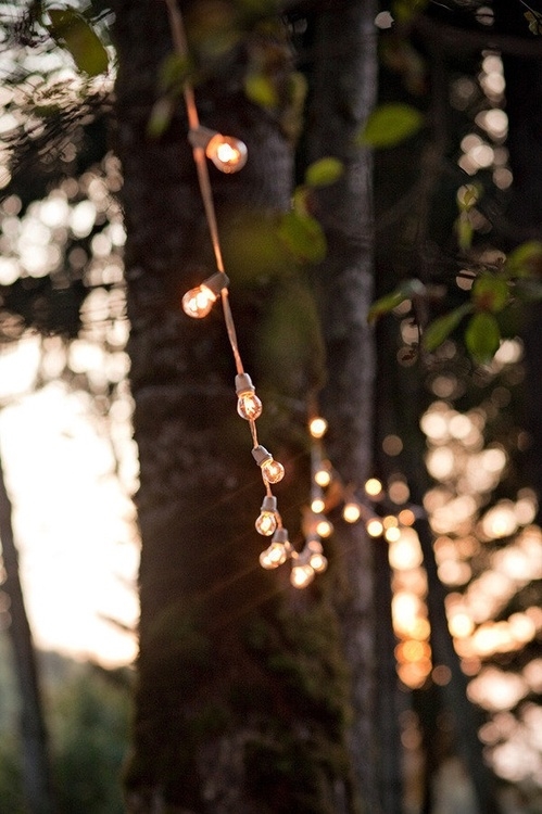 String of lights String of lights