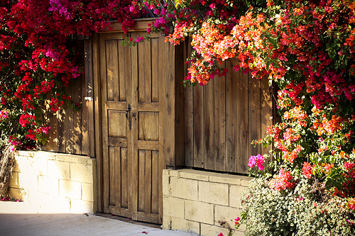 Secret doorway Secret doorway