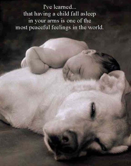 having a child fall asleep in your arms having a child fall asleep in your arms