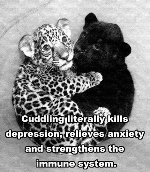cuddling