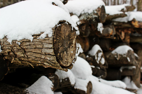 Snow on wood