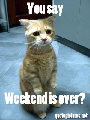 weekend is over weekend is over