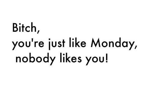 Bitch you are just like monday