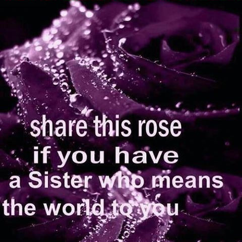 share this rose if you have a sister