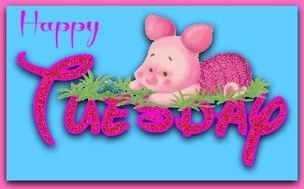Happy Tuesday