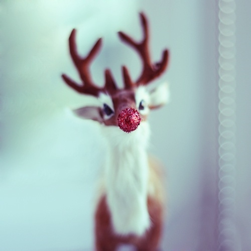 Rudolph The Red glitter nose reindeer