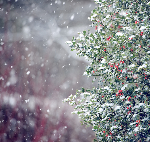 Winter snow